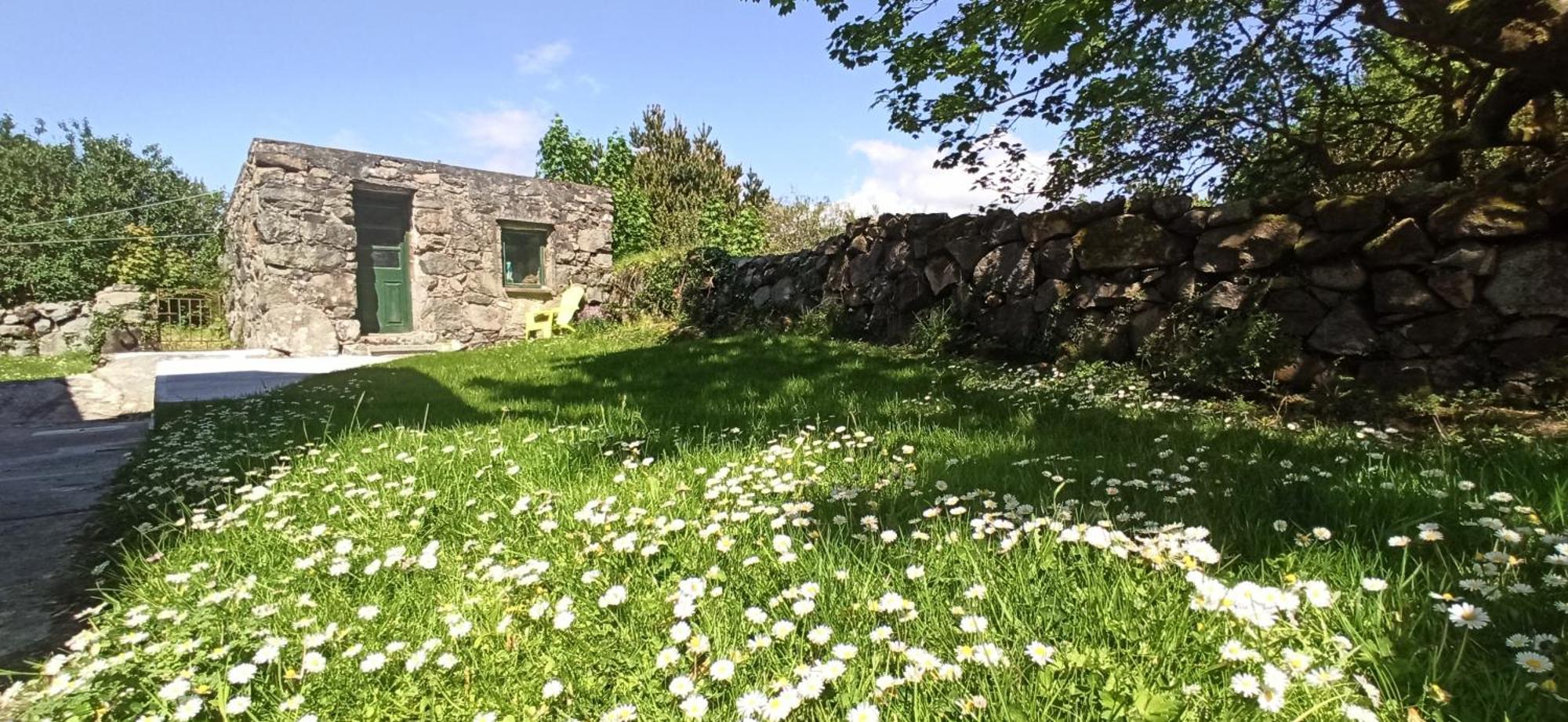 Atlantic Way Cottage Galway Ruang foto